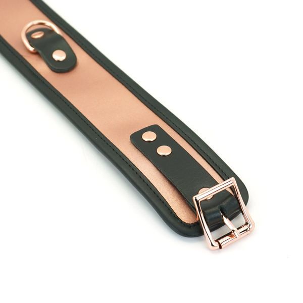 Широкий нашийник з повідцем Liebe Seele Rose Gold Memory Collar with Leash, натуральна шкіра SO9494 фото