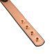 Нашийник із затискачами для сосків Liebe Seele Rose Gold Memory Collar with Nipple Clamps, шкіра SO9495 фото 4
