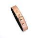 Нашийник із затискачами для сосків Liebe Seele Rose Gold Memory Collar with Nipple Clamps, шкіра SO9495 фото 11