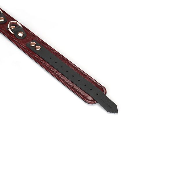 Шкіряний нашийник з повідцем Liebe Seele Wine Red Collar and Leash, 3 кільця для кріплення SO9451 фото