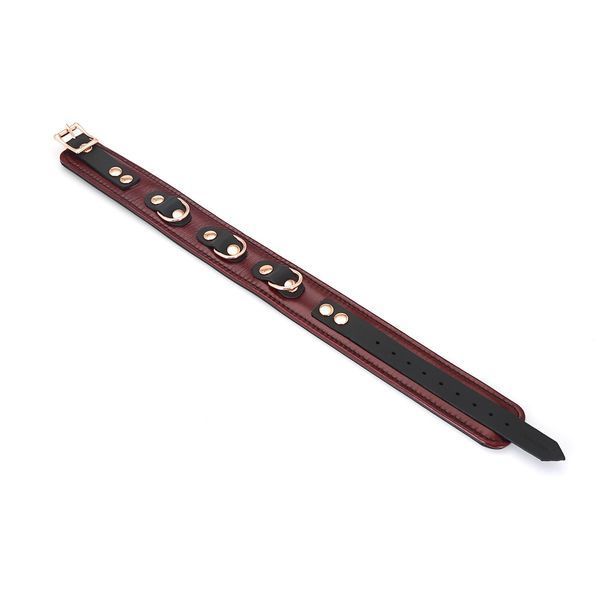 Шкіряний нашийник з повідцем Liebe Seele Wine Red Collar and Leash, 3 кільця для кріплення SO9451 фото