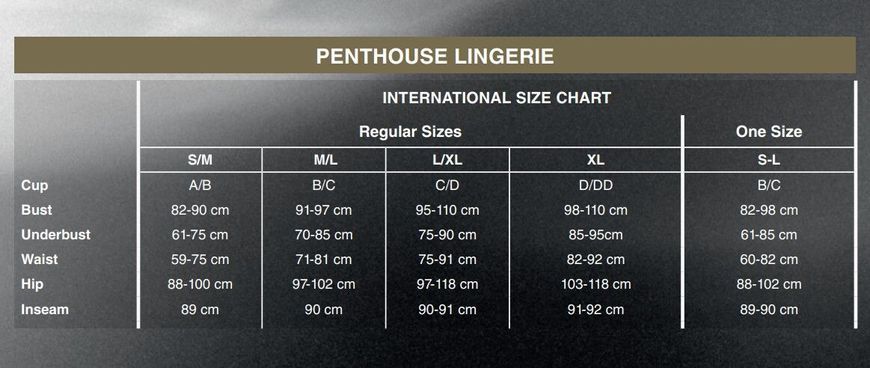 Бодістокінг зі шнурівкою та вертикальними швами Penthouse - Drop-dead Tasty Black XL SO5249 фото