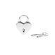 Замочок Liebe Seele Heart Shape Padlock Silver (2 шт) SX1679 фото 1