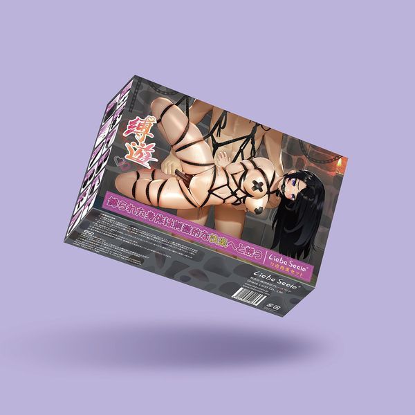 БДСМ-набір Liebe Seele Bound You 12pcs set, 12 предметів, у комплекті віброкуля і мереживні стрінги SO9505 фото