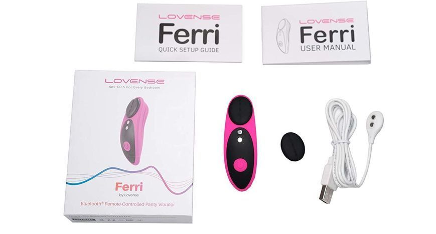 Смарт-вібратор в трусики Lovense Ferri SO4563 фото