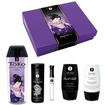 Подарунковий набір Shunga Naughtier Kit, 5 продуктів для інтимної стимуляції SX0587 фото